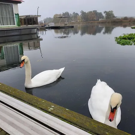 Traumhaus-auf-dem-wasser-modernisiertes-hausboot-13-x-4-m