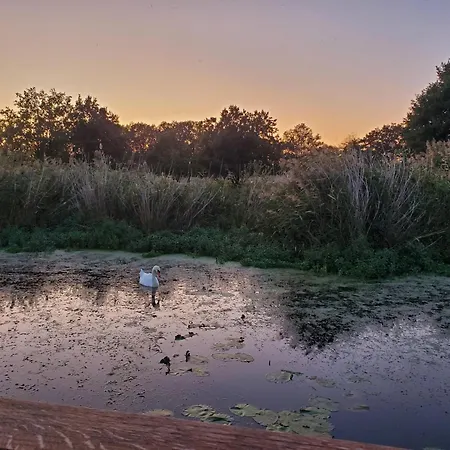 בית נופש Traumhaus-auf-dem-wasser-modernisiertes-hausboot-13-x-4-m *