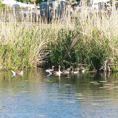 Traumhaus-auf-dem-wasser-modernisiertes-hausboot-13-x-4-m בית נופש *