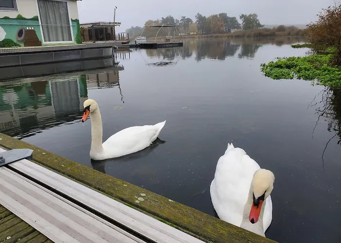 Traumhaus-auf-dem-wasser-modernisiertes-hausboot-13-x-4-m
