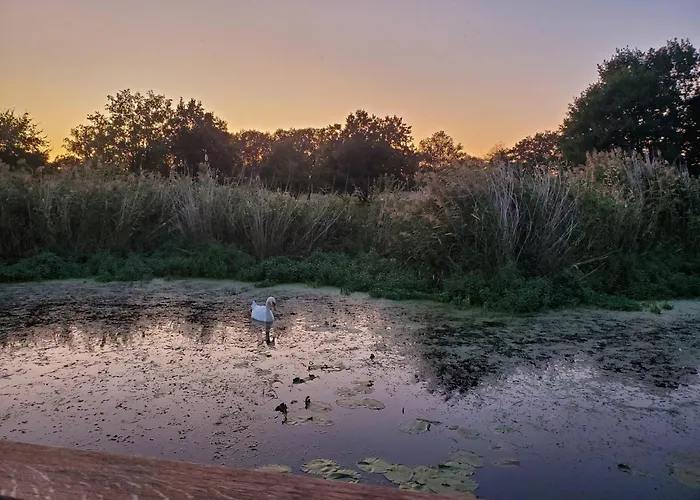 بيت للعطل Traumhaus-auf-dem-wasser-modernisiertes-hausboot-13-x-4-m *