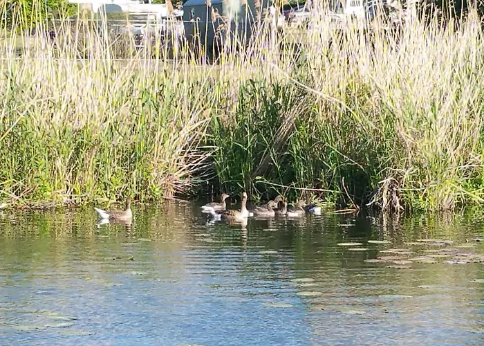 Traumhaus-auf-dem-wasser-modernisiertes-hausboot-13-x-4-m بيت للعطل *